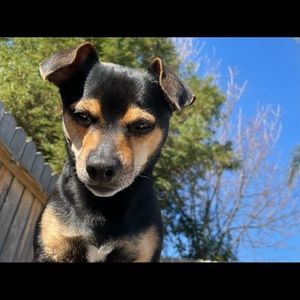 Meet your Posher, Jerrica